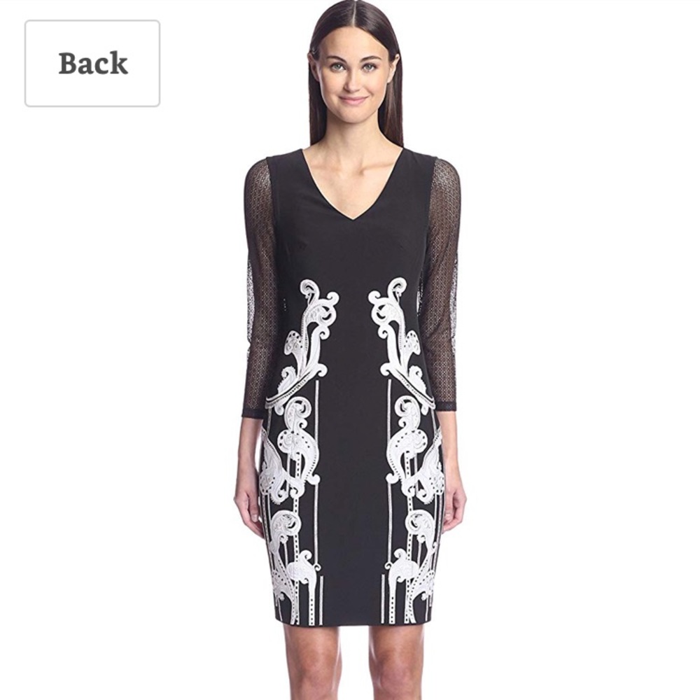 Elegant Black Artwork Dress with Mesh Sleeves